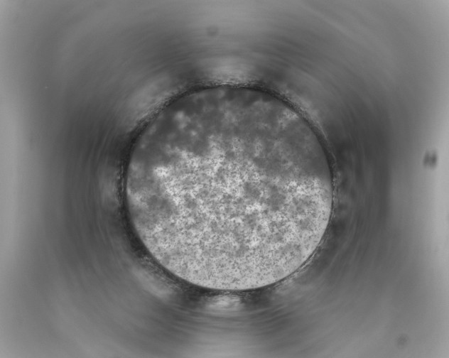 X0000089960162200707201956