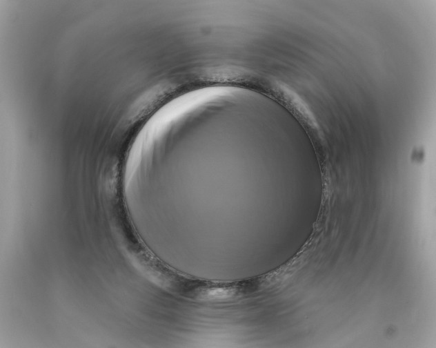 X0000089960163200707201956