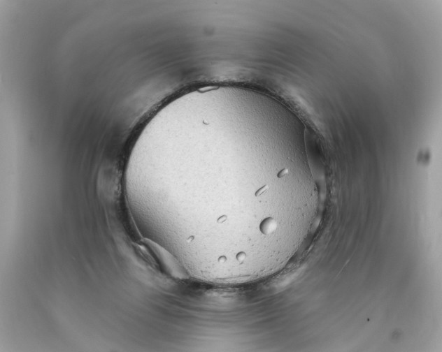 X0000089960164200707201956