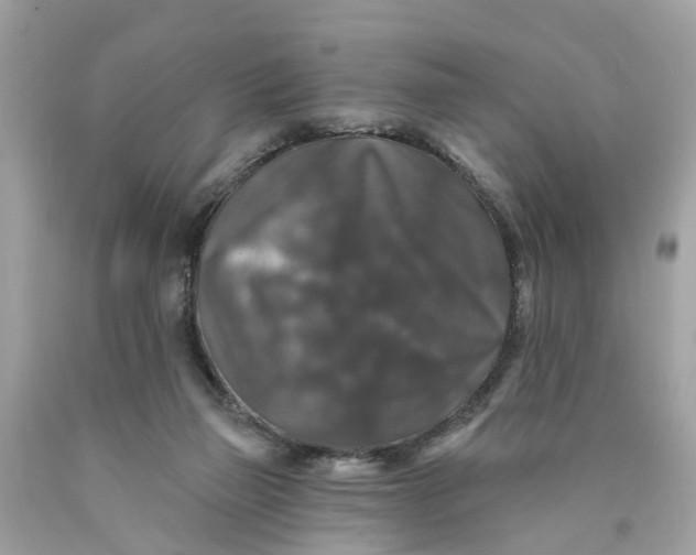 X0000089960165200707201956