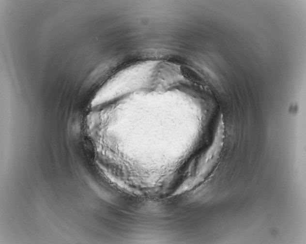 X0000089960166200707201956