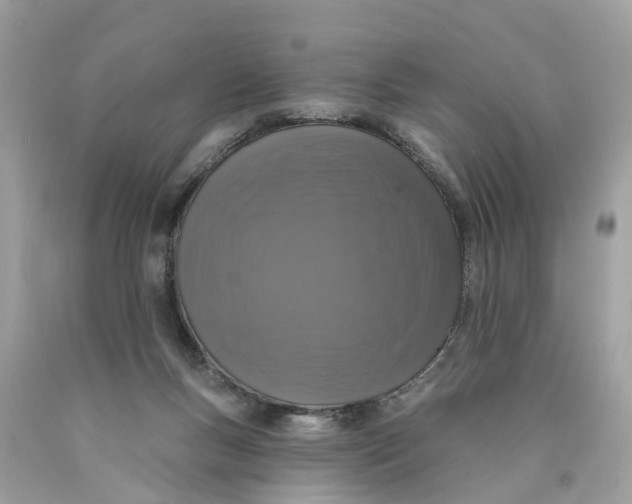 X0000089960167200707201956