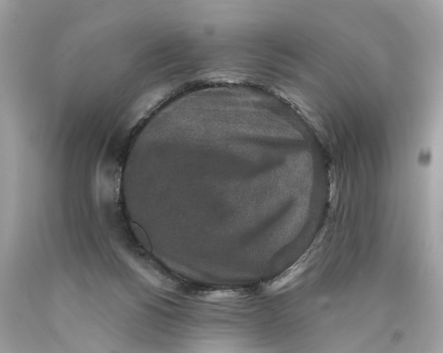 X0000089960168200707201956