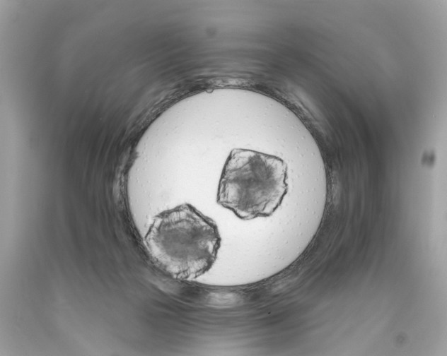 X0000089960169200707201956