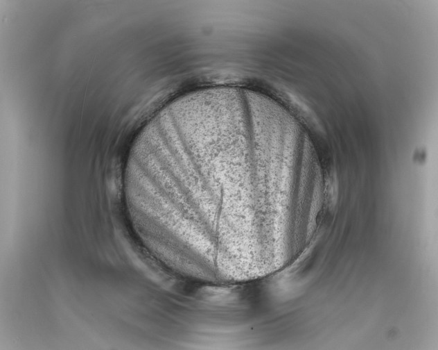 X0000089960170200707201956