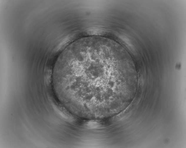 X0000089960171200707201956