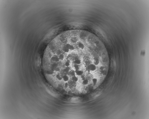 X0000089960173200707201956