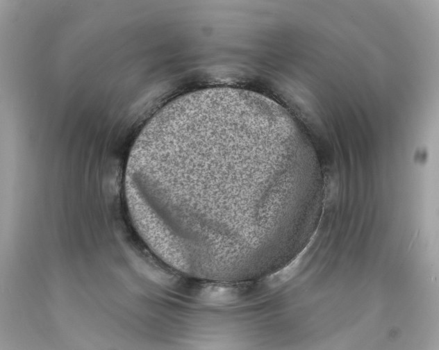 X0000089960174200707201956