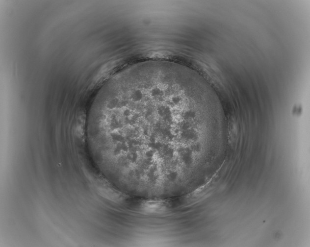 X0000089960175200707201957