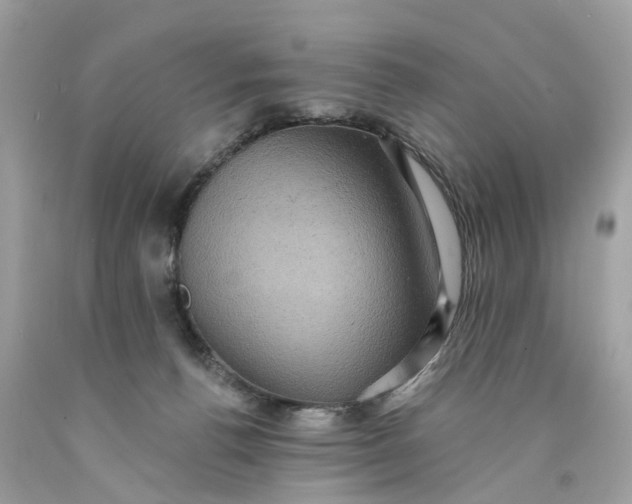 X0000089960176200707201957