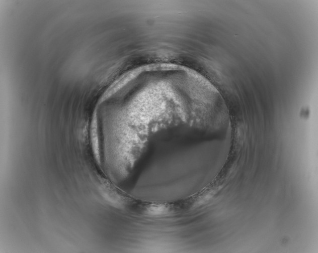 X0000089960177200707201957