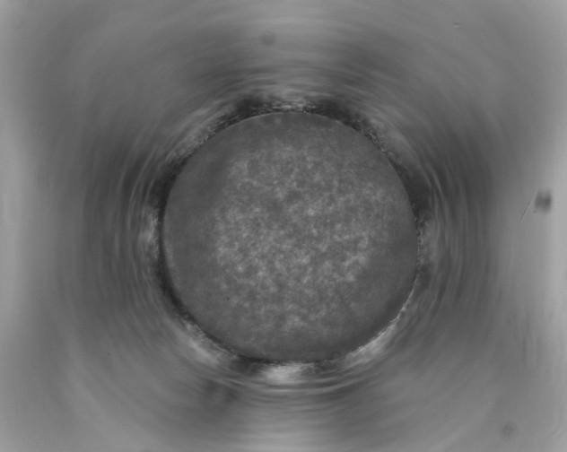 X0000089960178200707201957