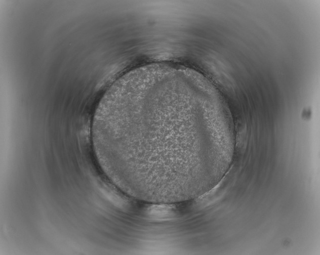 X0000089960179200707201957