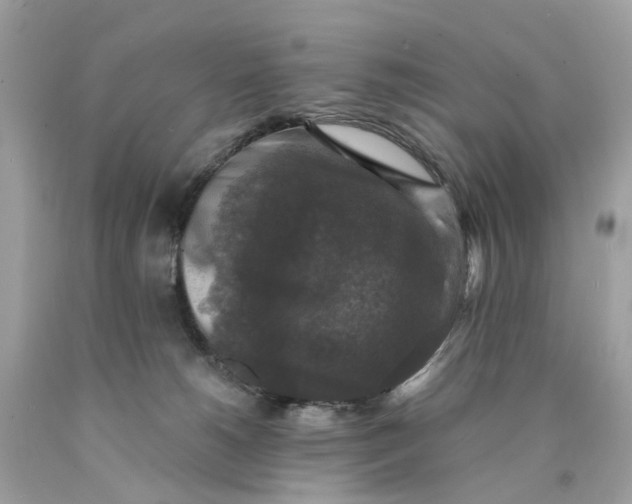 X0000089960180200707201957