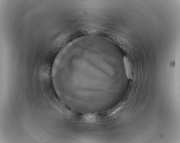 X0000089960181200707201957