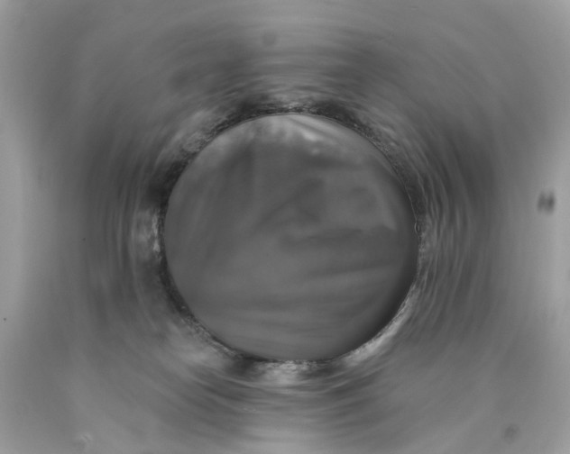 X0000089960182200707201957