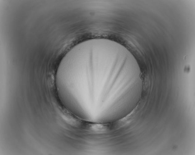 X0000089960183200707201957