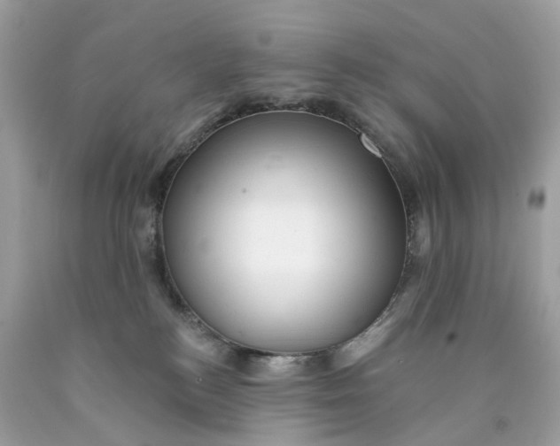 X0000089960184200707201957