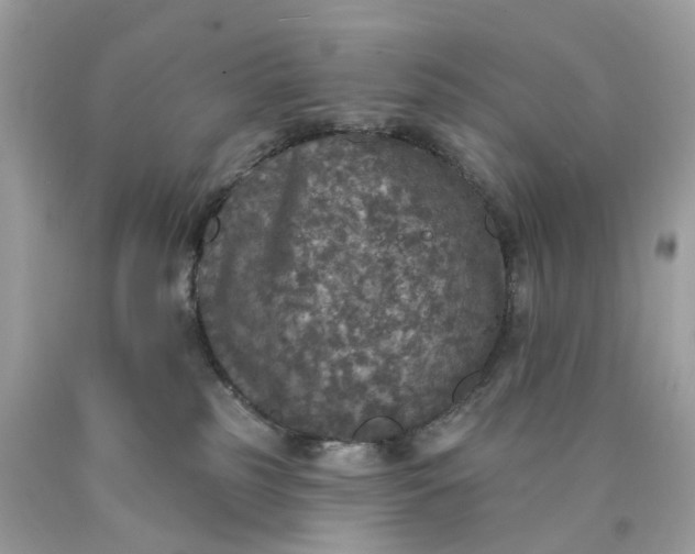 X0000089960185200707201957