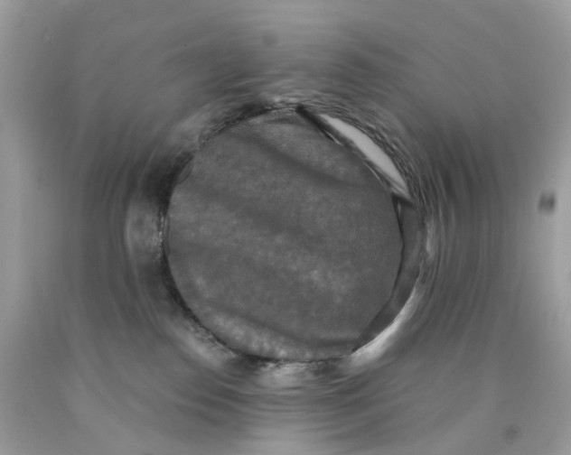 X0000089960186200707201957