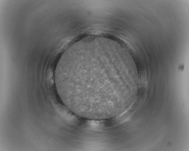 X0000089960187200707201957