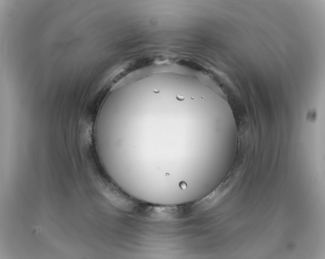 X0000089960188200707201957