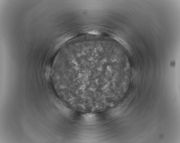 X0000089960189200707201957