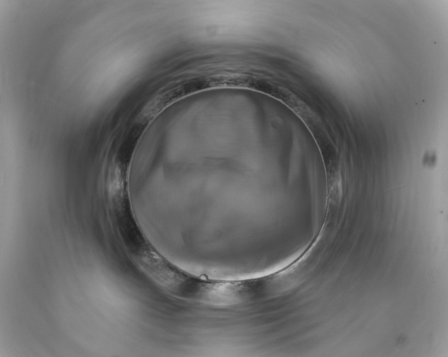 X0000089960191200707201957