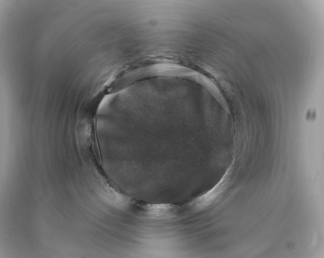 X0000089960192200707201957