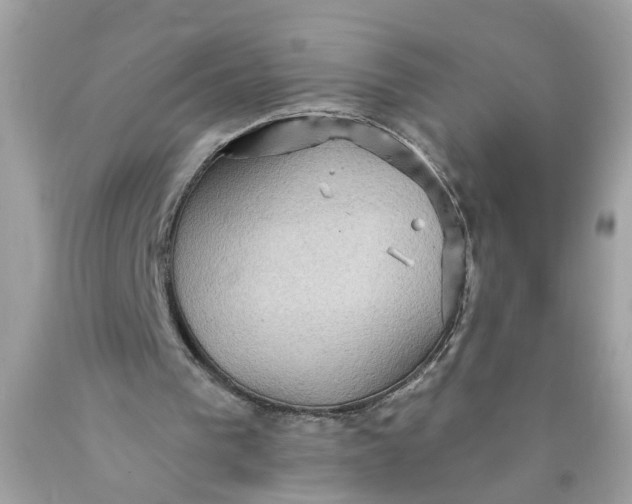 X0000089960193200707201956