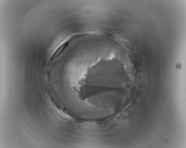 X0000089960194200707201956