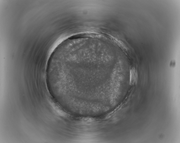 X0000089960195200707201956