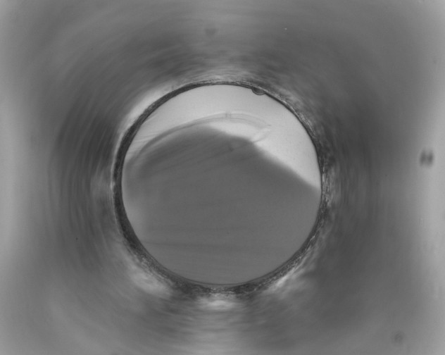 X0000089960196200707201956