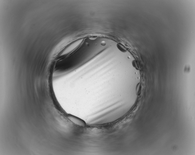 X0000089960197200707201956