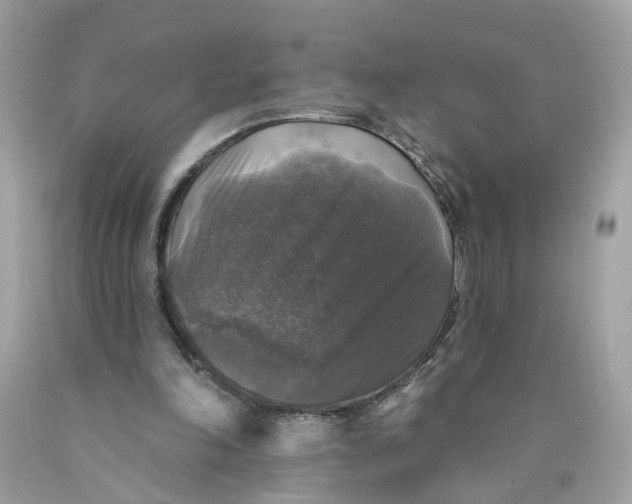 X0000089960198200707201956