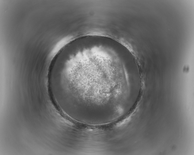 X0000089960199200707201956