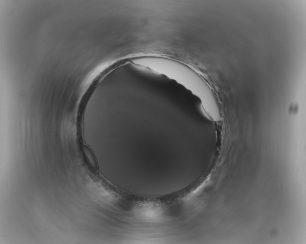 X0000089960200200707201956