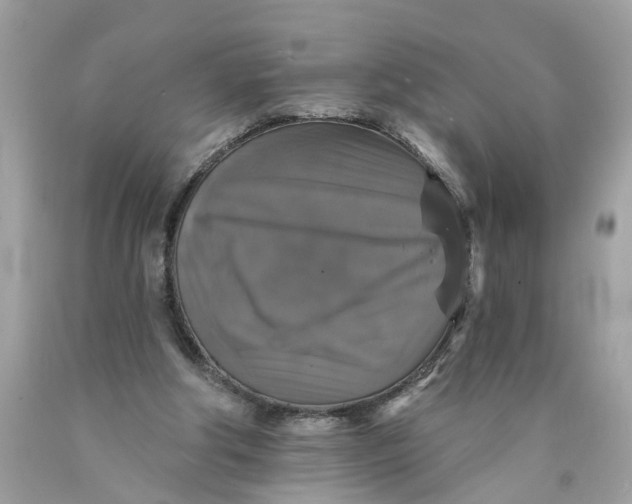 X0000089960202200707201956