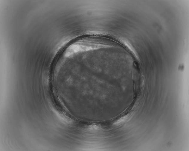 X0000089960204200707201956