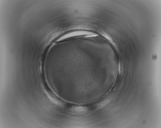 X0000089960205200707201956