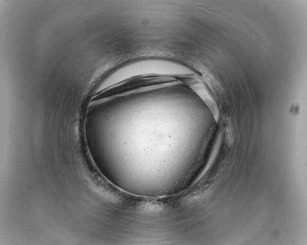 X0000089960207200707201956