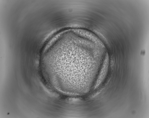 X0000089960208200707201956