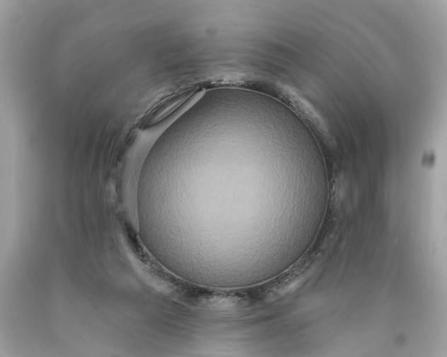 X0000089960209200707201956