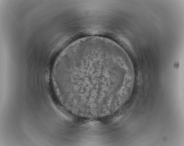 X0000089960210200707201956