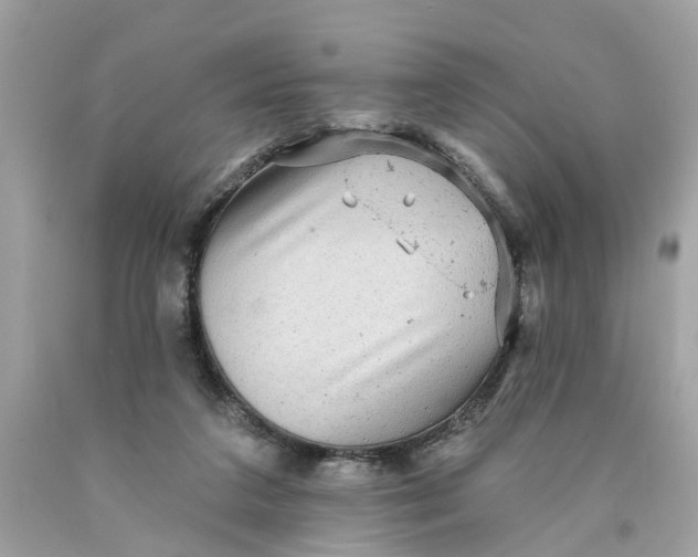 X0000089960211200707201956