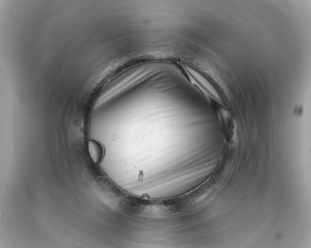 X0000089960212200707201956