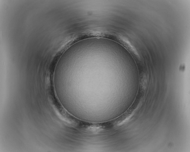 X0000089960213200707201956