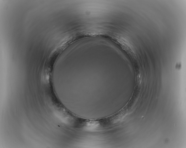 X0000089960214200707201956