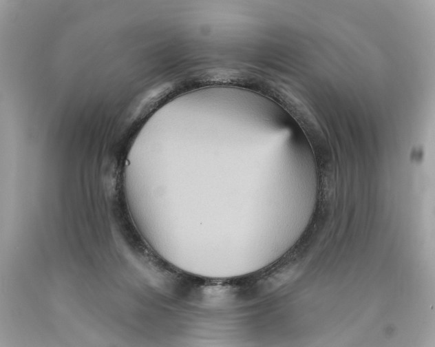 X0000089960216200707201956