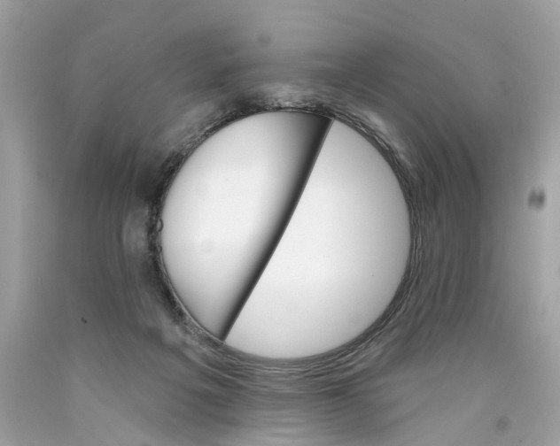 X0000089960217200707201956